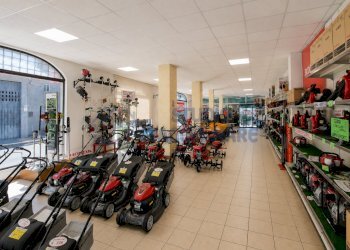 ChatGPT Image 22 giu 2026, 20_42_31 - Non Alimentare Via Armea 88, Sanremo - foto 12