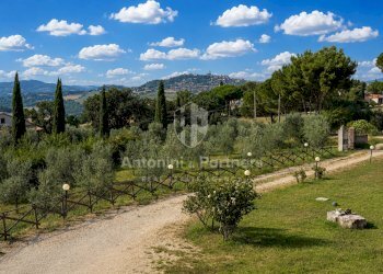 casale-le-olive-todi-umbria-vista-panoramica-ulive - Casale Via di Mezzo Muro, Todi - foto 27