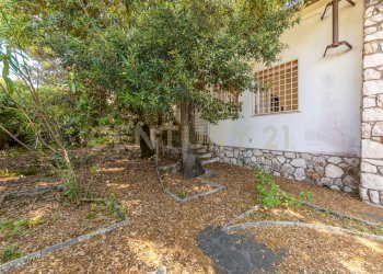 IMG_4299 - Villa Via delle Begonie 38, Anzio - foto 30