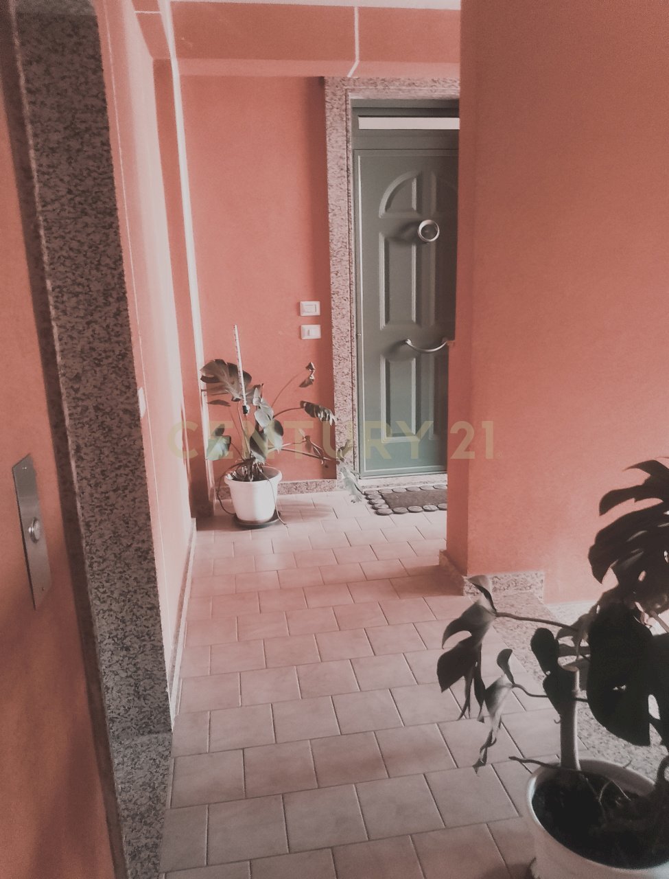 1000407755 - Attic Modica - photo 1