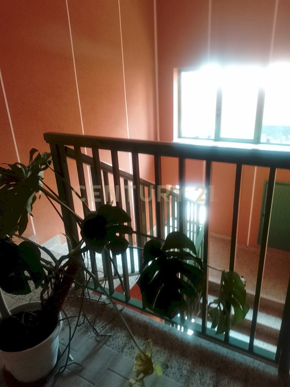1000407756 - Attic Modica - photo 3