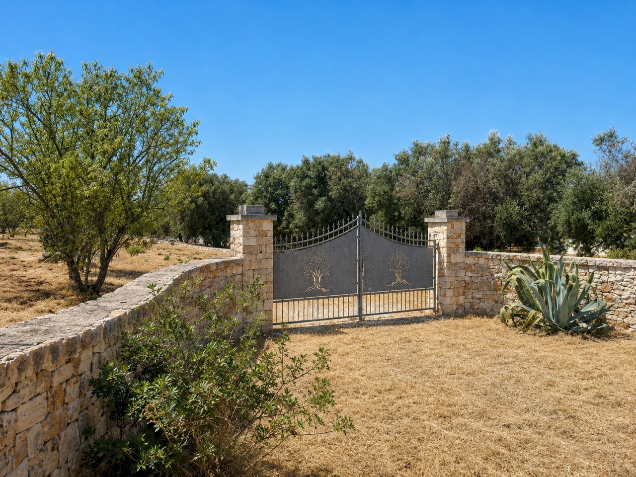 D3B4588F-1B96-4969-AF69-FDC5FC0E2689 - Terreno agricolo Contrada San Benedetto, Ostuni - foto 1