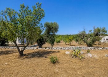 46614418-8291-4CC4-9E8C-18D3E9C10570 - Terreno agricolo Contrada San Benedetto, Ostuni - foto 5