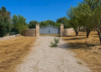 2441C3B4-4CD9-4372-9DB0-5EADE415BF8E - Terreno agricolo Contrada San Benedetto, Ostuni - foto 6
