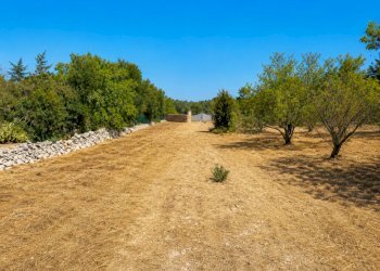 5A61931B-7337-49FA-864E-66EE3193E2EC - Terreno agricolo Contrada San Benedetto, Ostuni - foto 13