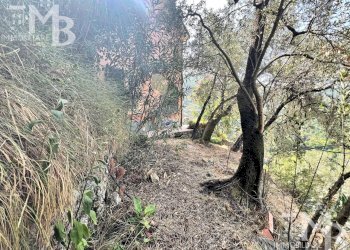 GIARDINO OVEST - Casa indipendente Via Pietrafitta 1, Avegno - foto 18