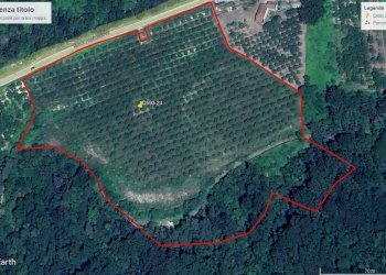 GoogleEarth - Agricultural land Borgata Pianezzo 102, Dogliani - photo 2