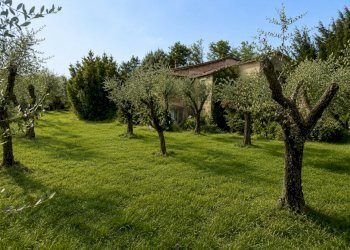 giardino 2 - Casa indipendente Via Palvotrisia 65, Castelnuovo Magra - foto 4