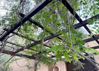 Appartamento Via Fonza, Campo nell'Elba - foto 13
