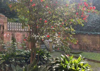 Giardino - Apartment Via Francesco Orsoni, Bologna (neighborhood Saragozza) - photo 5