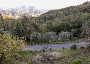 Casa indipendente Livellato, Ceranesi, Ceranesi - foto 32