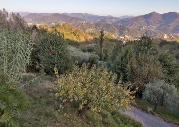 Casa indipendente Livellato, Ceranesi, Ceranesi - foto 35