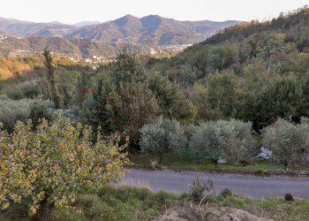 Casa indipendente Livellato, Ceranesi, Ceranesi - foto 36
