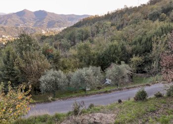 Casa indipendente Livellato, Ceranesi, Ceranesi - foto 37