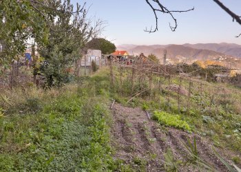 Casa indipendente Livellato, Ceranesi, Ceranesi - foto 40