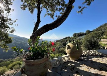 Terreno agricolo Località morghe, Vallebona - foto 1