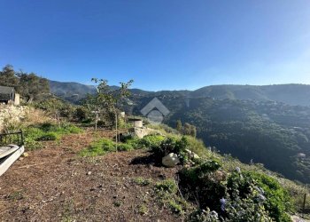 Terreno agricolo Località morghe, Vallebona - foto 2