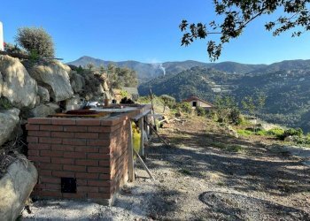 Terreno agricolo Località morghe, Vallebona - foto 3