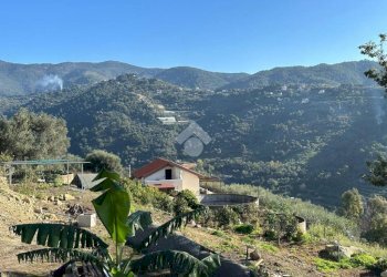 Terreno agricolo Località morghe, Vallebona - foto 9