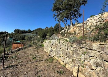 Terreno agricolo Località morghe, Vallebona - foto 11