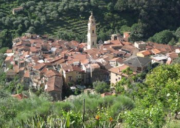 Terreno agricolo Località morghe, Vallebona - foto 17