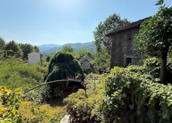 Villa Frazione versino, Viù - foto 16