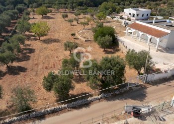 Foto 3 - Villa MARTUCCI
 
snc, Ostuni - photo 3