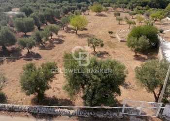 Foto 39 - Villa MARTUCCI
 
snc, Ostuni - photo 39