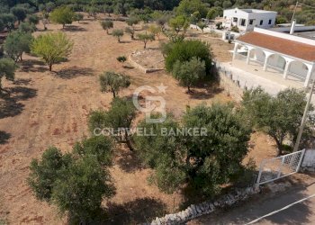 Foto 40 - Villa MARTUCCI
 
snc, Ostuni - photo 40