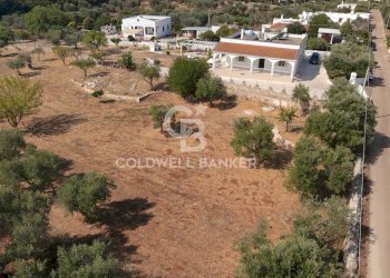 Foto 41 - Villa MARTUCCI
 
snc, Ostuni - photo 41