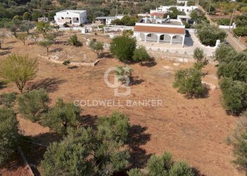 Foto 42 - Villa MARTUCCI
 
snc, Ostuni - photo 42