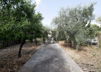 Giardino - Building land Via Bitonto
29, Modugno - photo 15