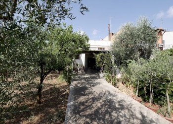 Giardino - Building land Via Bitonto
29, Modugno - photo 17