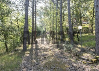 Giardino - Villa VIA SAN PANCRAZIO
75, Bucine - photo 24