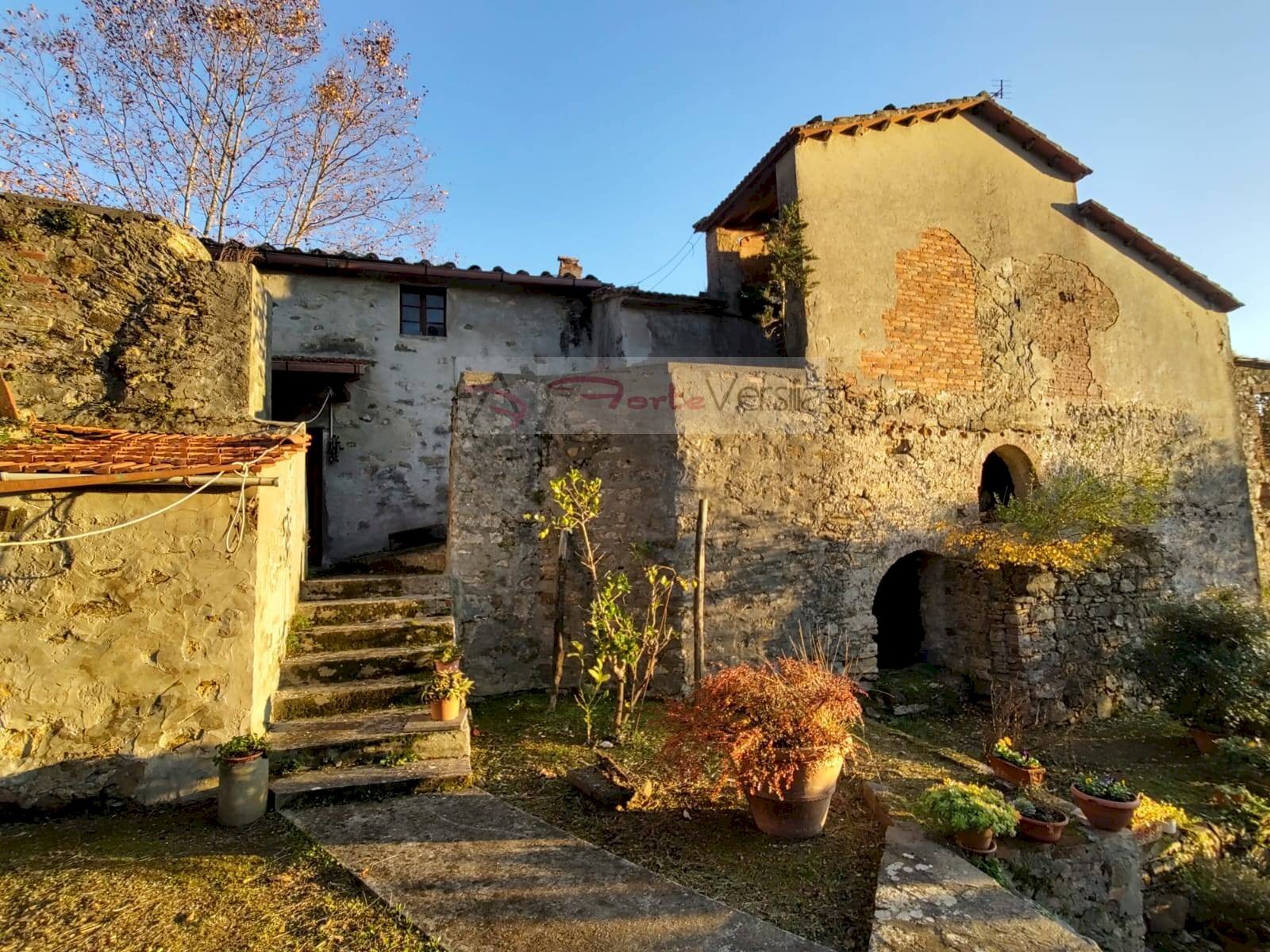 Foto 1 - Rustic Massarosa - photo 1