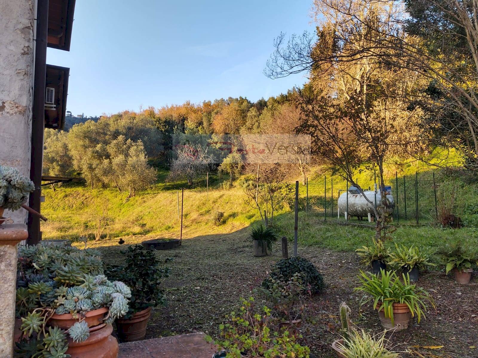Foto 3 - Rustic Massarosa - photo 3