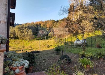 Foto 3 - Rustic Massarosa - photo 3