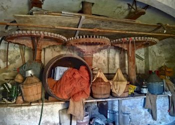 Foto 4 - Rustic Massarosa - photo 4