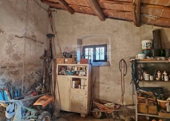 Foto 10 - Rustic Massarosa - photo 10