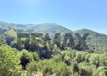 Vista delle montagne - Casa semi indipendente VIA UNITA' D'ITALIA
 
SC, Bagni di Lucca - foto 34