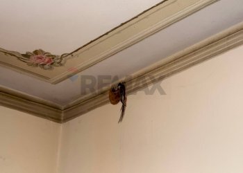Dettagli - Apartment via di Ghivizzano
 
38, Coreglia Antelminelli - photo 18