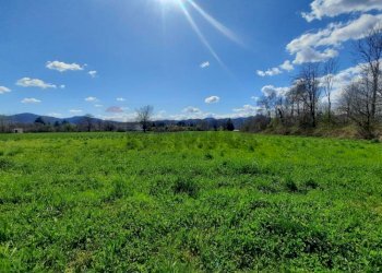 terreno - Terreno edificabile strada Vicinale dei Prati Maggiori
snc, Grignasco - foto 3