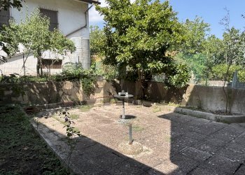 Giardino - Casa indipendente Corso Vittorio Emanuele Terzo
 
53, Pietradefusi - foto 19