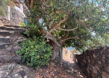 Foto 29 - Rustic Via Serra di Rando
snc, Lipari - photo 29