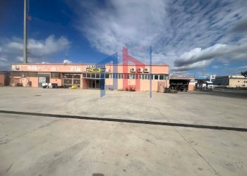Foto 2 - Ufficio Via Alfio Flores, Civitavecchia - foto 2