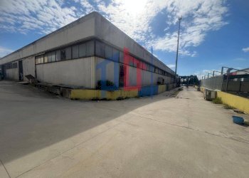 Foto 9 - Warehouse Via Alfio Flores, Civitavecchia - photo 9
