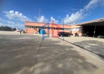 Foto 17 - Capannone Via Alfio Flores, Civitavecchia - foto 17