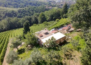 Foto 19 - Rustico Sentiero Capietaglio-Belvedere, Palazzago - foto 19