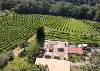 Foto 4 - Farm Sentiero Capietaglio-Belvedere, Palazzago - photo 4