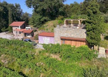Foto 15 - Farm Sentiero Capietaglio-Belvedere, Palazzago - photo 15